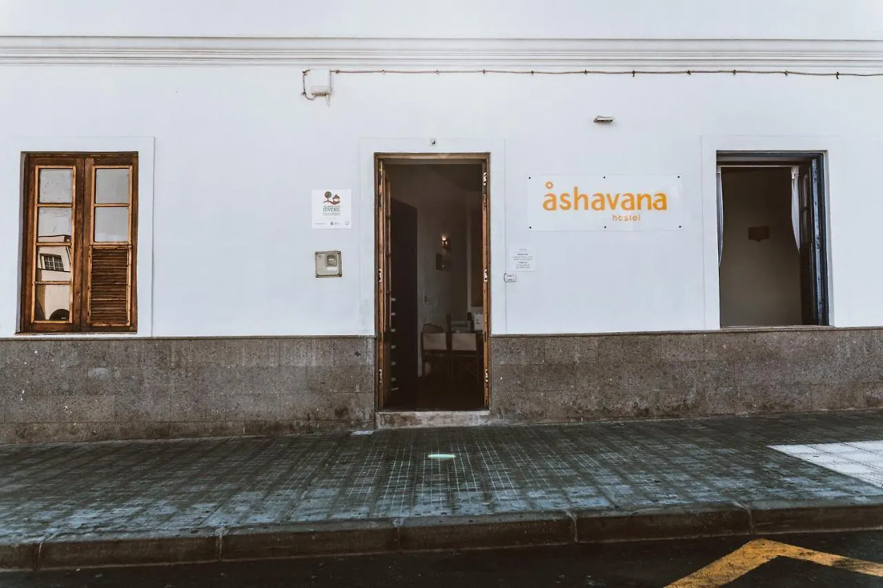 Ashavana Nest Hostel El Médano Španělsko
